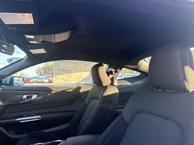 2026 Ford Mustang GT Fastback