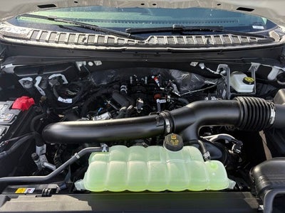 2026 Ford Expedition Platinum®