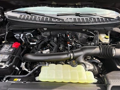 2026 Ford Expedition Platinum®