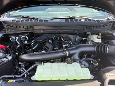 2026 Ford F-150 Tremor®