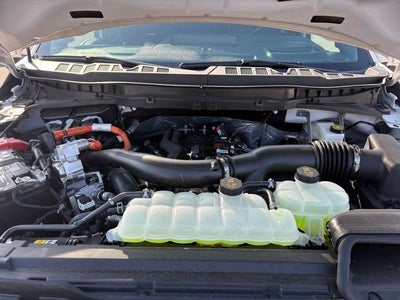 2025 Ford F-150 Platinum®