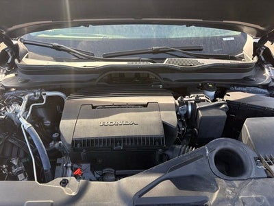 2024 Honda Pilot EX-L 8 Passenger