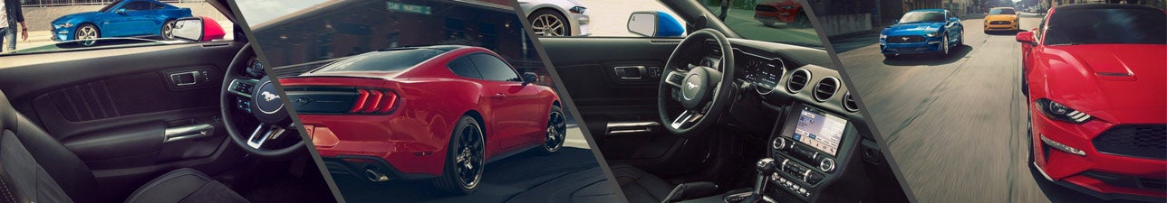 New 2019 Ford Mustang for Sale Morehead City NC