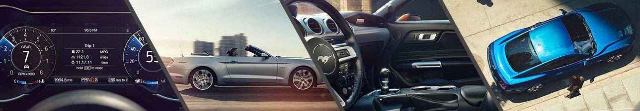 New 2018 Ford Mustang for Sale Morehead City NC